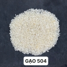 GẠO 504