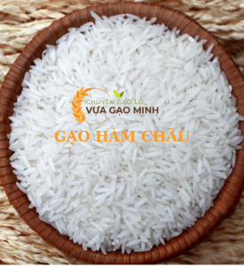 GẠO LÀ GÌ? TẠI SAO GẠO LẠI QUAN TRỌNG TRONG NỀN KINH TẾ, VĂN HÓA VIỆT NAM?