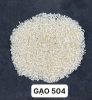 GẠO 504