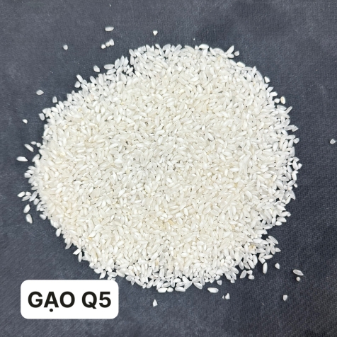 GẠO Q5